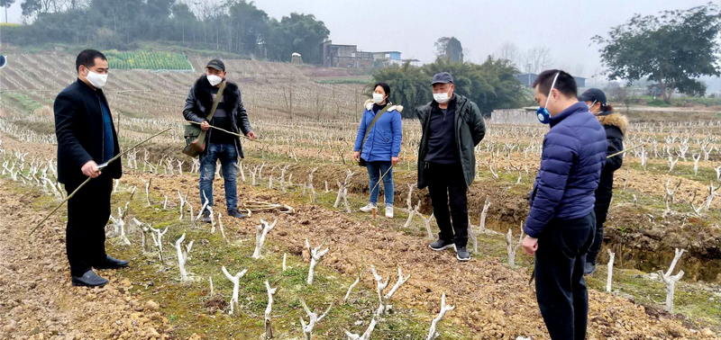 QQ图片202003041555431.png