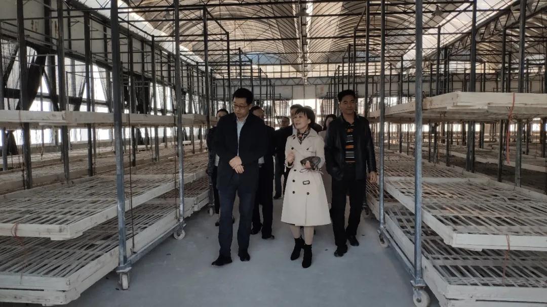 微信图片_20201120152033.jpg