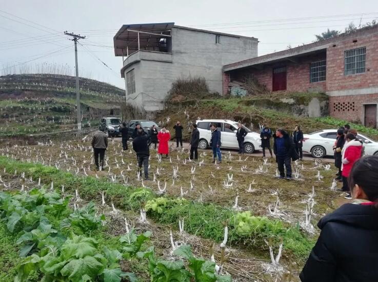 QQ截图20210118153457.jpg
