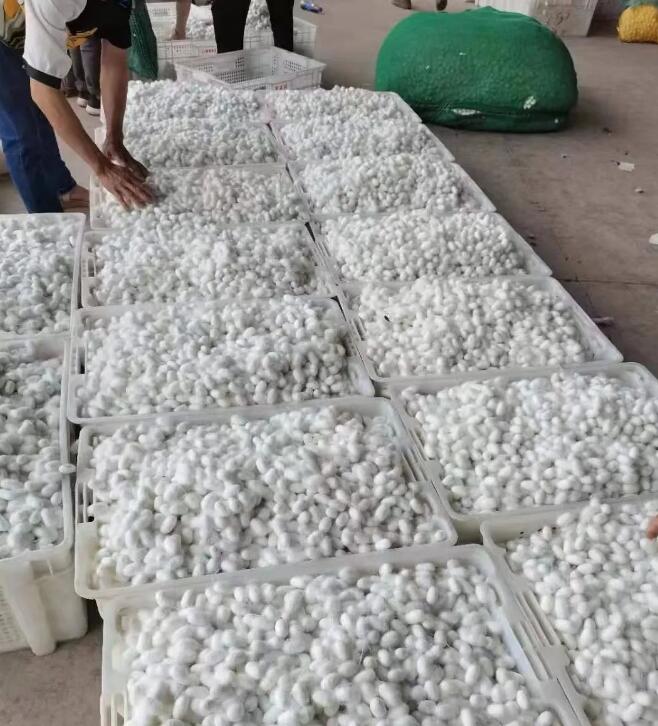 QQ截图20220530093103.jpg